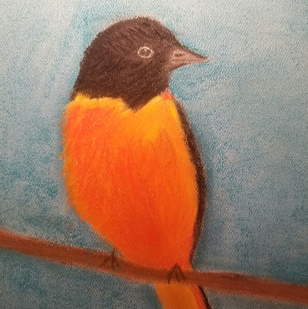 Baltimore Oriole original artwork painting